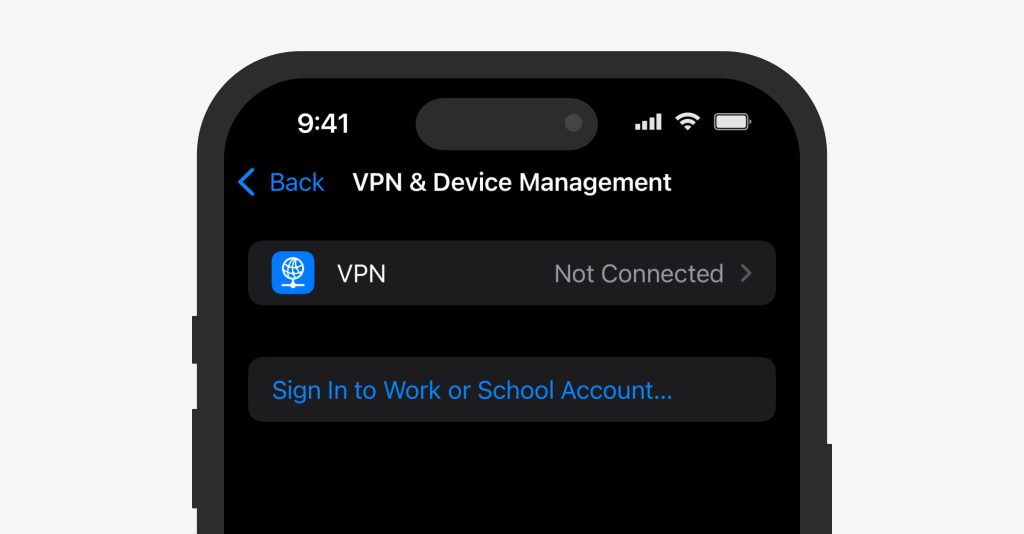 VPN & Device Management screen on an iPhone to review profiles